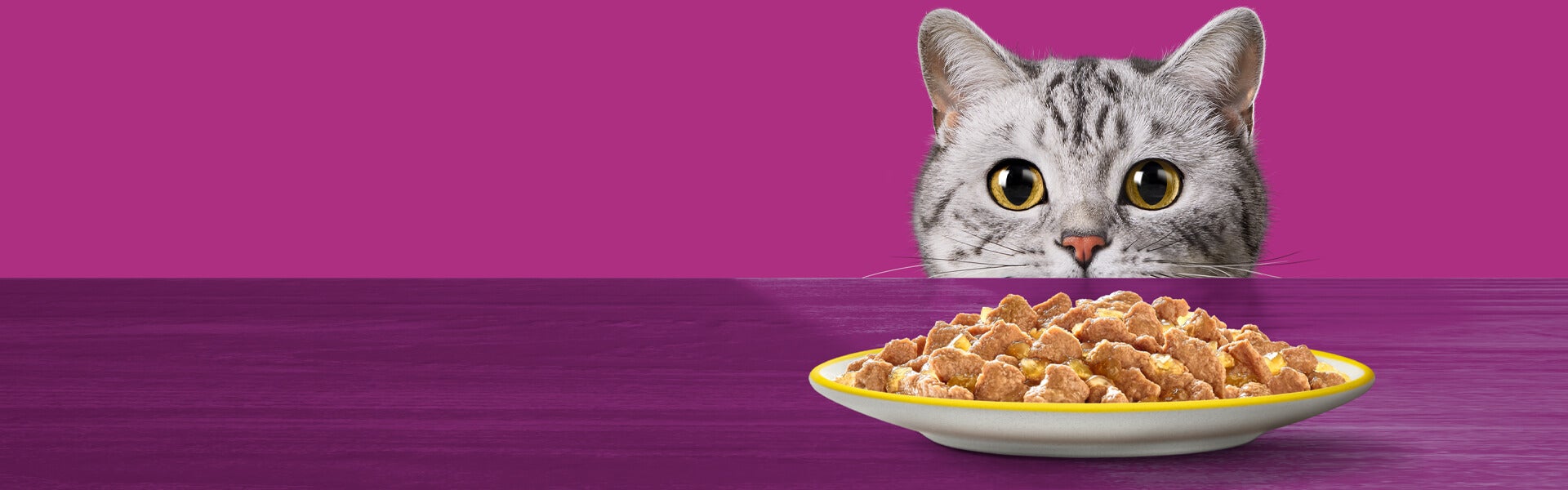 Cat whiskas shop