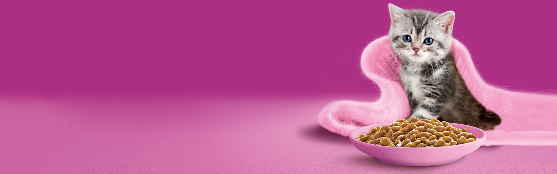 Whiskas Argentina Alimenta su curiosidad