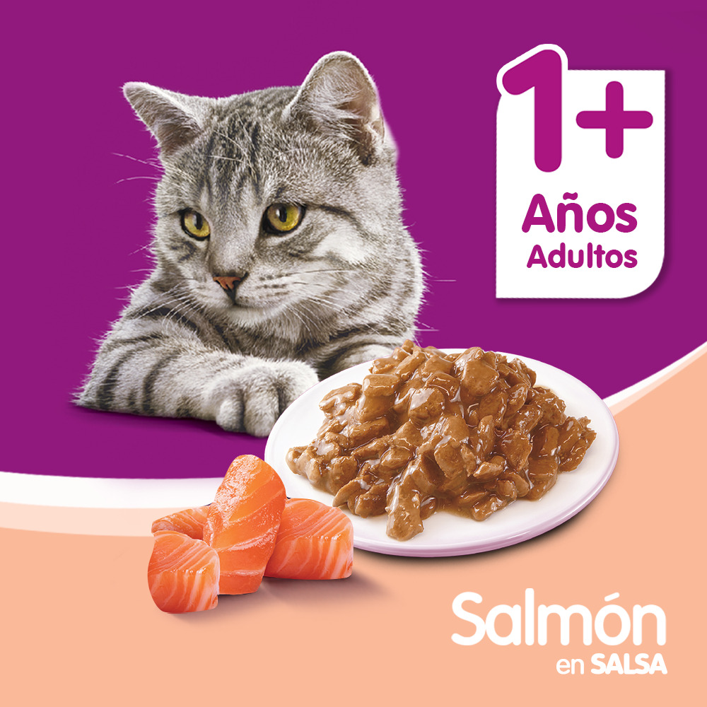 Whiskas Sobrecito Para Gatos Salmon en Salsa - 5