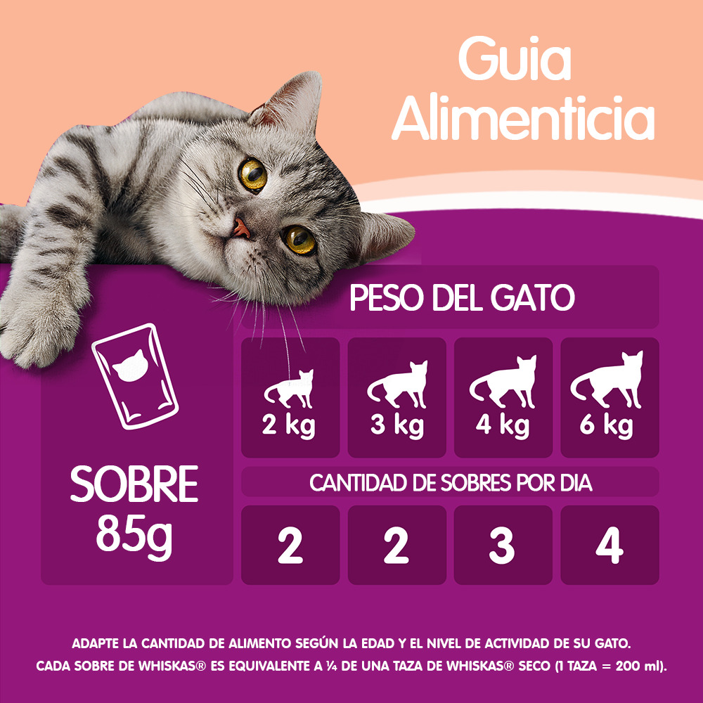 Whiskas Sobrecito Para Gatos Salmon en Salsa - 6