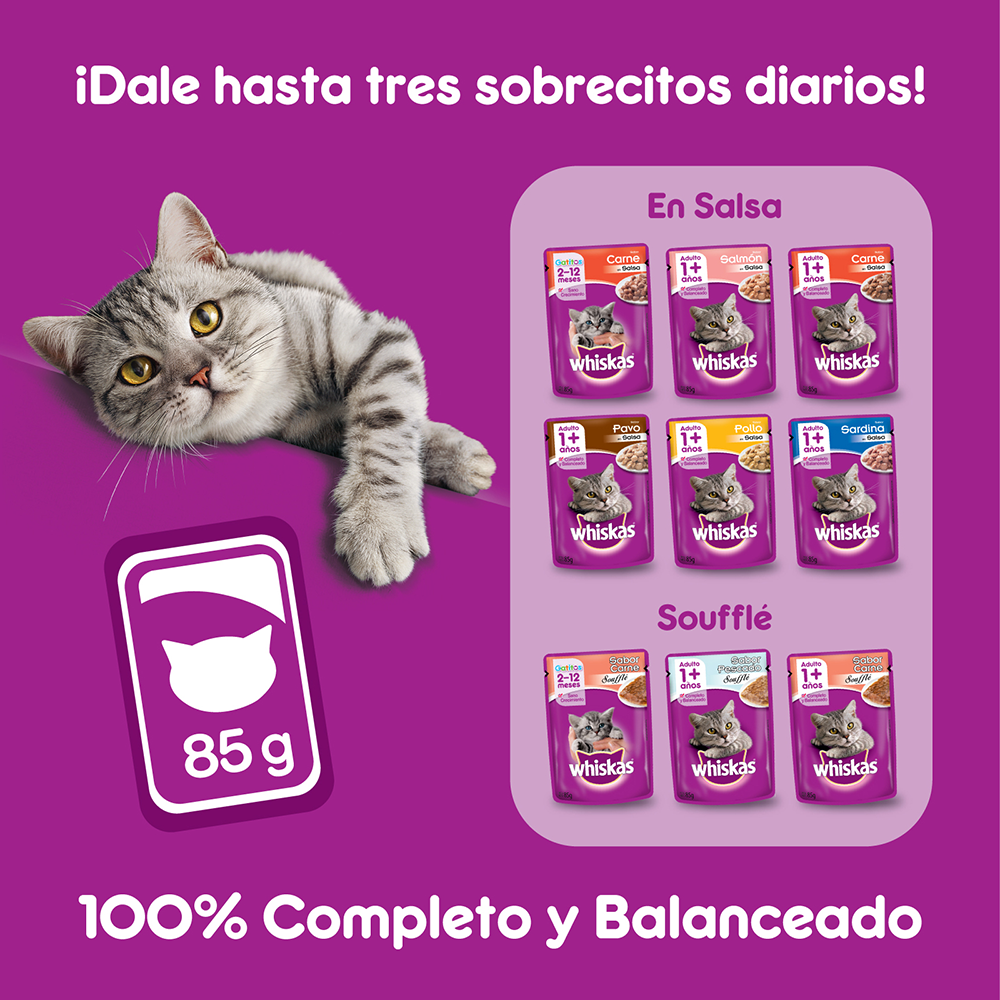 Whiskas Sobrecito Para Gatos Salmon en Salsa - 7