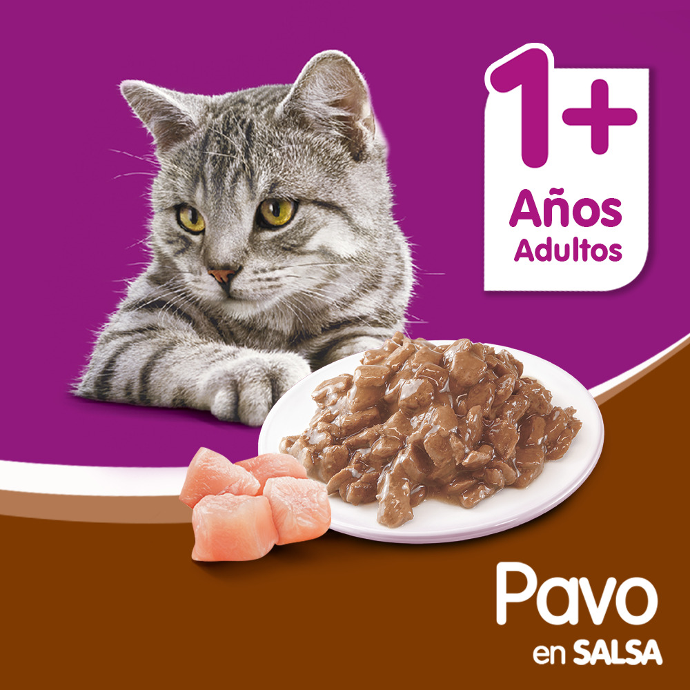 Whiskas Sobrecito Para Gatos Pavo en Salsa - 5