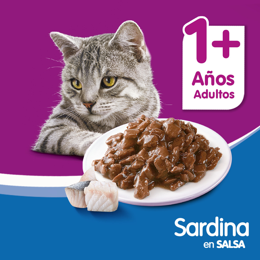Whiskas Sobrecito Para Gatos Sardina en Salsa - 5