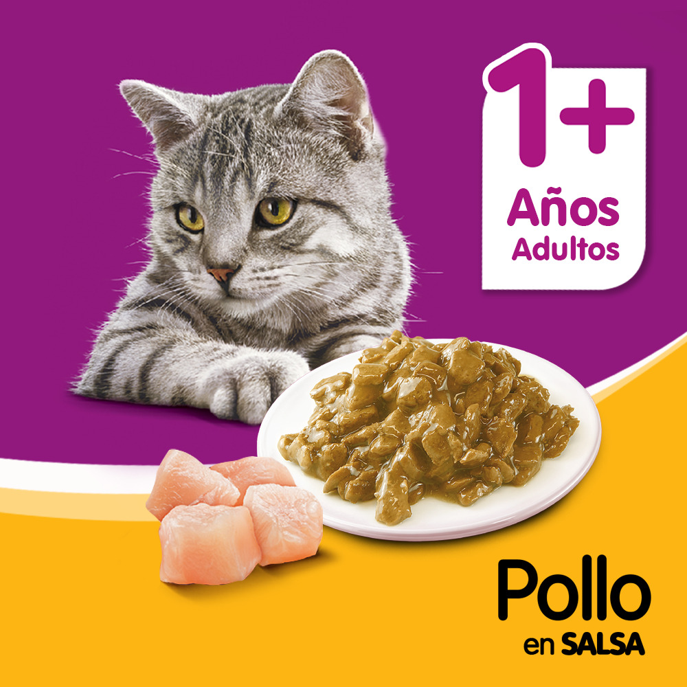 Whiskas Sobrecito Para Gatos Pollo en Salsa - 5