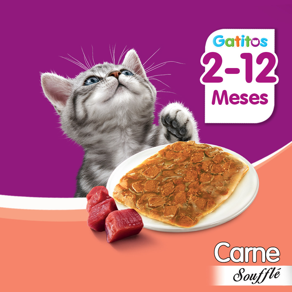 Whiskas Sobrecito Para Gatitos Carne en Soufflé - 5