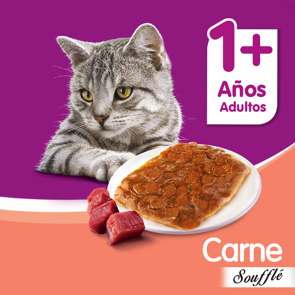 Whiskas Sobrecito Para Gatos Carne en Soufflé - 4