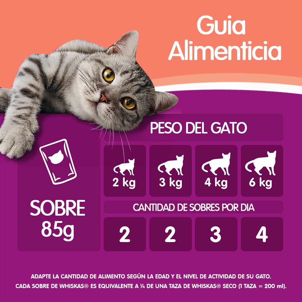 Whiskas Sobrecito Para Gatos Carne en Soufflé - 6