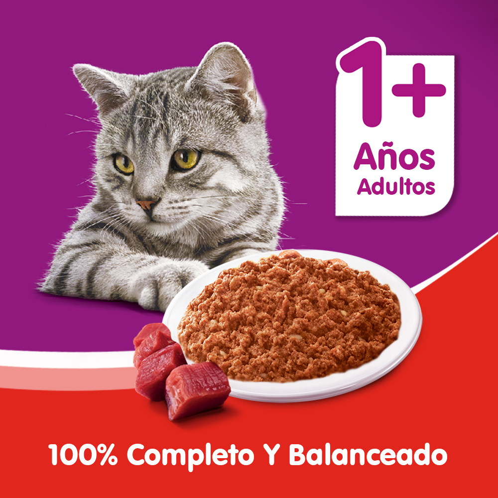 Whiskas Lata Para Gatos Carne en Paté - 5