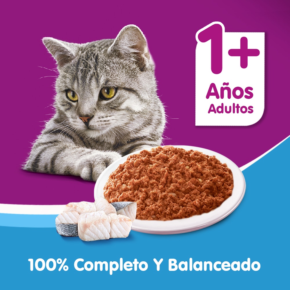Whiskas Lata Para Gatos Atún en Paté - 5