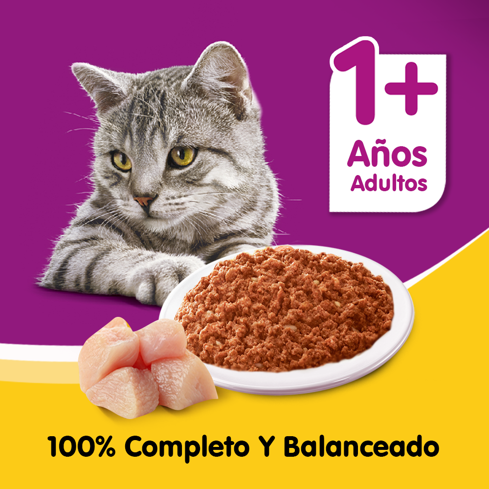 Whiskas Lata Para Gatos Pollo en Paté - 5