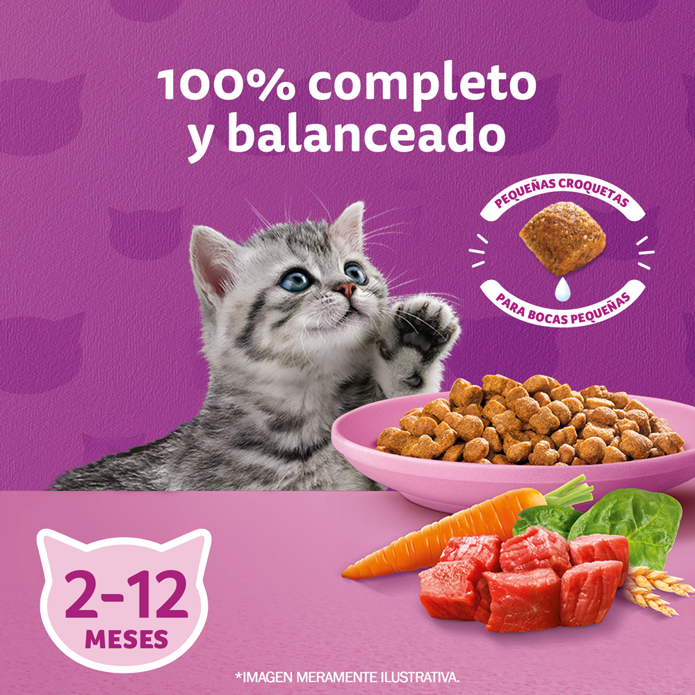 Whiskas Alimento Seco para Gatitos Carne y Leche - 3