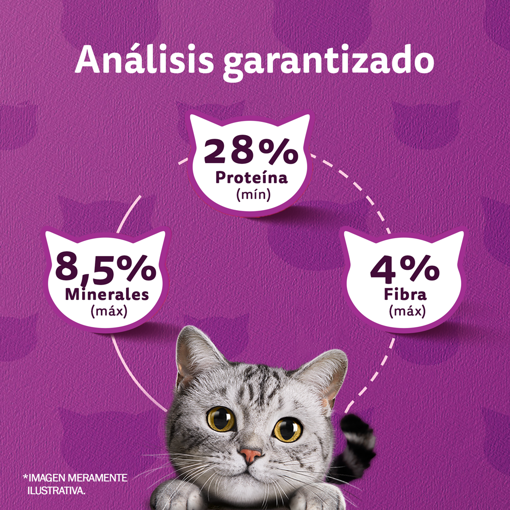 Whiskas Alimento Seco para Gatos Adultos Pescado - 5