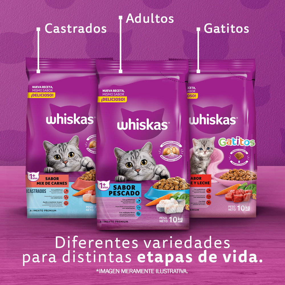 Whiskas Alimento Seco para Gatos Adultos Pescado - 7