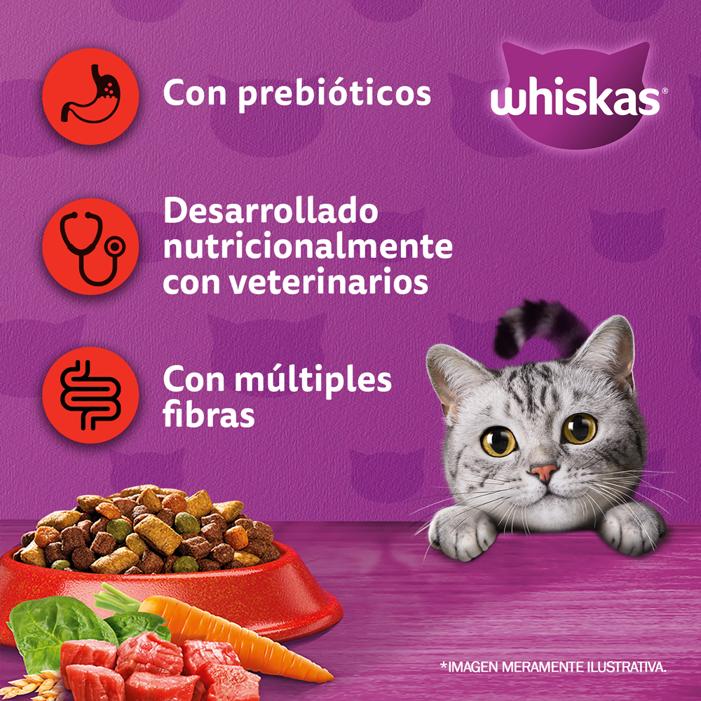 Whiskas Alimento Seco para Gatos Adultos Carne - 2