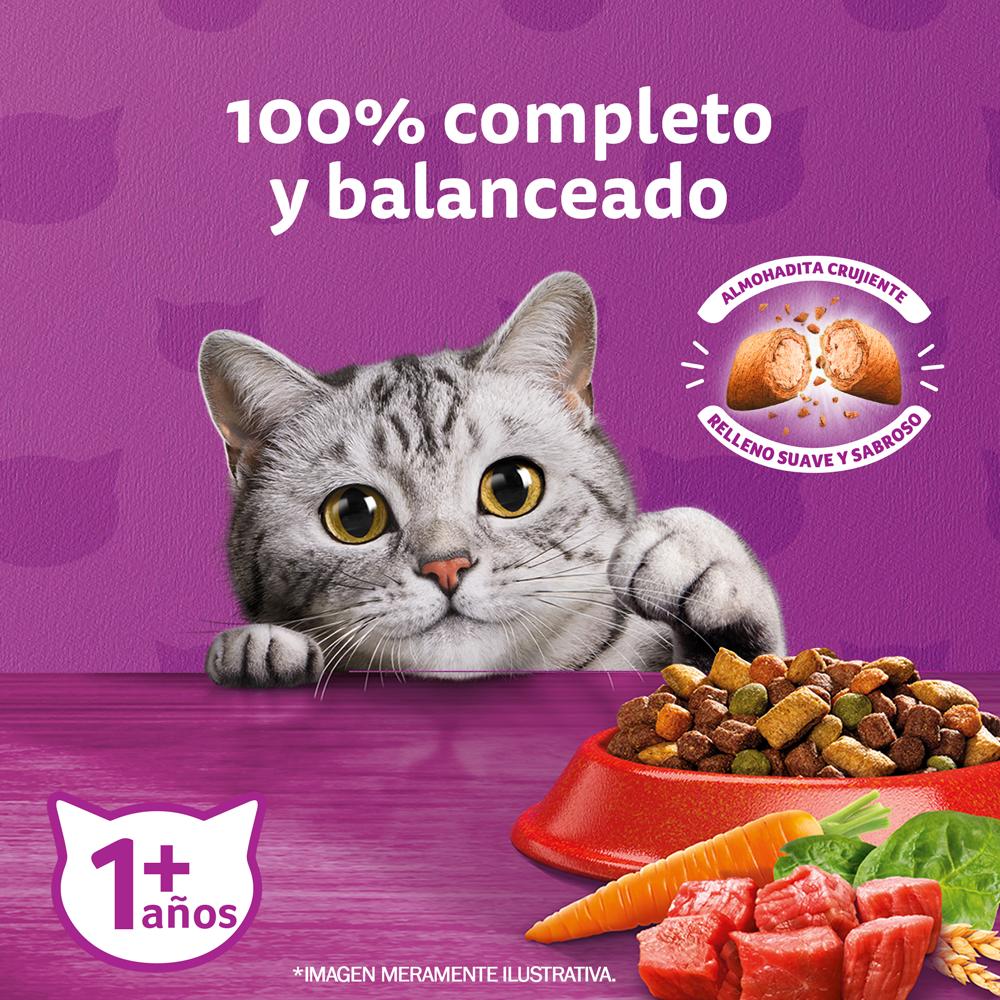 Whiskas Alimento Seco para Gatos Adultos Carne - 3