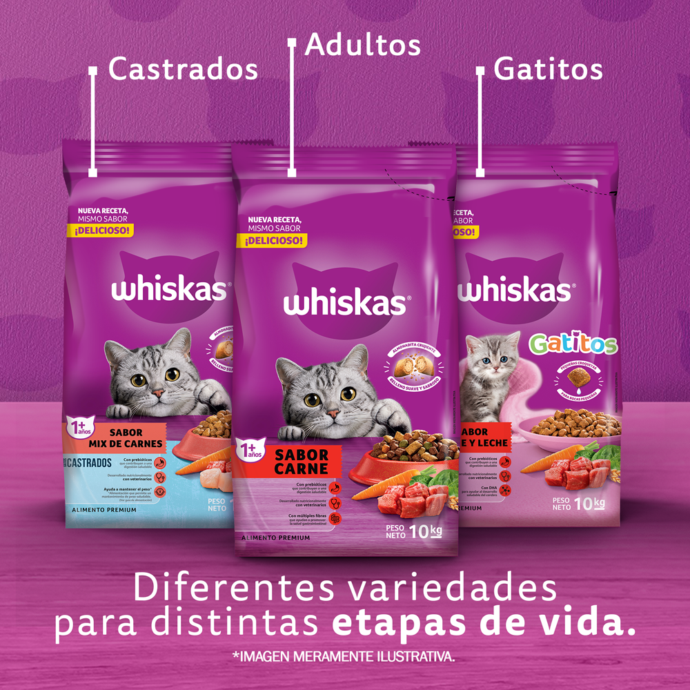 Whiskas Alimento Seco para Gatos Adultos Carne - 7