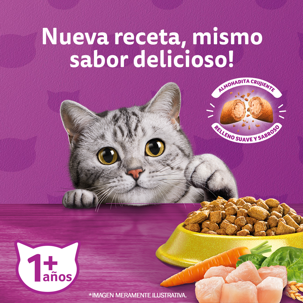 Whiskas Alimento Seco para Gatos Adultos Pollo - 3
