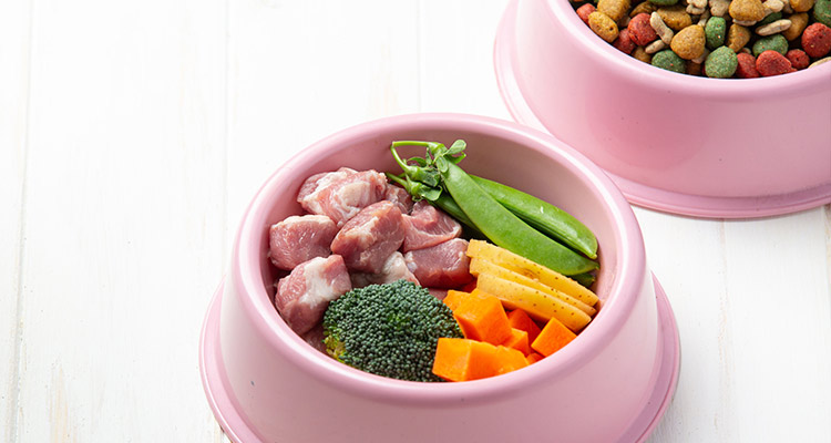 NUTRICIÓN PARA EL BIENESTAR DE TU GATO