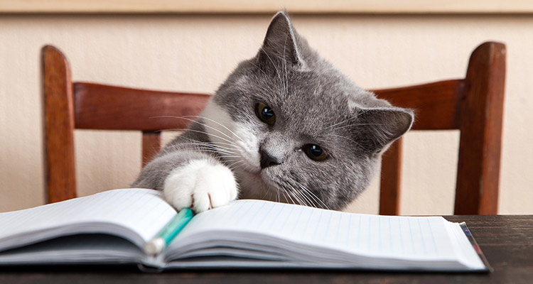 HISTORIA Y CREDENCIALES DE LA MARCA